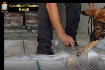 Napoli, sequestrati 17 chili di cocaina su camion dall'Olanda Napoli, sequestrati 17 chili di cocaina su camion dall'Olanda