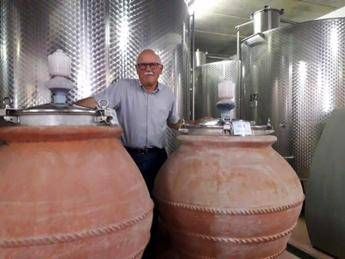 Vino: anfore sempre più di moda, a Montespertoli 1° test scientifico su effetti Vino: anfore sempre più di moda, a Montespertoli 1° test scientifico su effetti