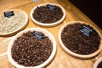 Arriva il sommelier del caffè Arriva il sommelier del caffè
