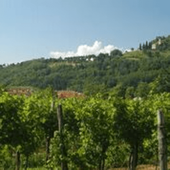 Medaglia Oro a Malvasia 2015 Tiare di Dolegna del Collio Medaglia Oro a Malvasia 2015 Tiare di Dolegna del Collio