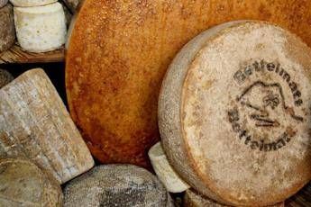 Allergici ai formaggi? Arrivano batteri 'buoni' Allergici ai formaggi? Arrivano batteri 'buoni'