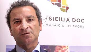 Vini Doc Sicilia, verso traguardo 30 mln di bottiglie, traina exploit del Grillo Vini Doc Sicilia, verso traguardo 30 mln di bottiglie, traina exploit del Grillo