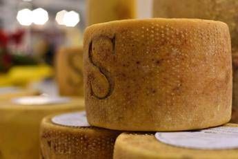 Torna a Fiera Roma Mercato Mediterraneo Torna a Fiera Roma Mercato Mediterraneo