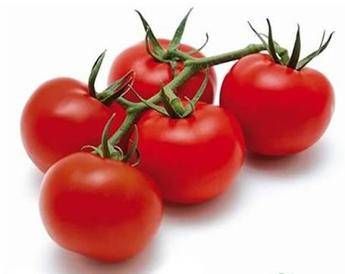 Consorzio Pomodoro Pachino: Bene vendite, diffidare da imitazioni Consorzio Pomodoro Pachino: Bene vendite, diffidare da imitazioni