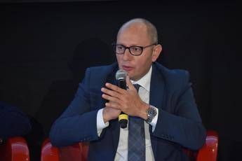 Consorzio mozzarella bufala campana, formazione e giovani per tornare a crescere Consorzio mozzarella bufala campana, formazione e giovani per tornare a crescere