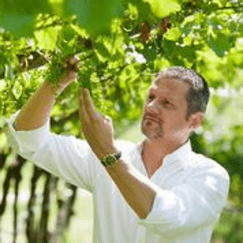 Hofstätter, nasce nuovo grand cru altoatesino Hofstätter, nasce nuovo grand cru altoatesino