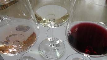 Assovini, per la Sicilia 2018 annata dell'equilibrio Assovini, per la Sicilia 2018 annata dell'equilibrio