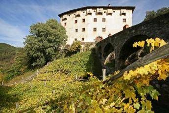In Alto Adige si vendemmia la vite più antica al mondo In Alto Adige si vendemmia la vite più antica al mondo