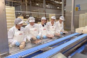 Con Callipo a scuola di monda del tonno per preservare antico mestiere Con Callipo a scuola di monda del tonno per preservare antico mestiere