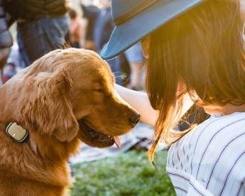 Estate, 10 consigli per proteggere Fido dal caldo Estate, 10 consigli per proteggere Fido dal caldo