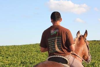 Il team building? Si apprende interagendo con il cavallo