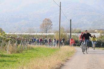 Fucilare i ciclisti fuori dalle ciclabili. La sparata del consigliere /Video Fucilare i ciclisti fuori dalle ciclabili. La sparata del consigliere /Video