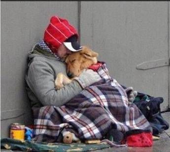 Freddo: Aidaa, trovare riparo per 5mila clochard con cani Freddo: Aidaa, trovare riparo per 5mila clochard con cani