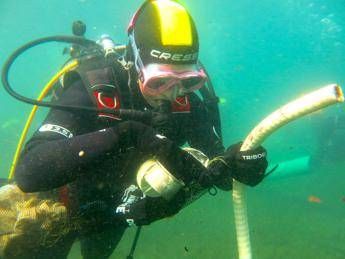 Sub in azione a Bracciano, raccolti oltre 47 kg rifiuti Sub in azione a Bracciano, raccolti oltre 47 kg rifiuti