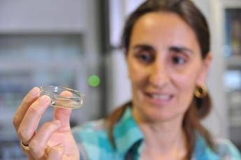 Casato Prime Donne 2017 al 'bruco mangia plastica' di Federica Bertocchini Casato Prime Donne 2017 al 'bruco mangia plastica' di Federica Bertocchini