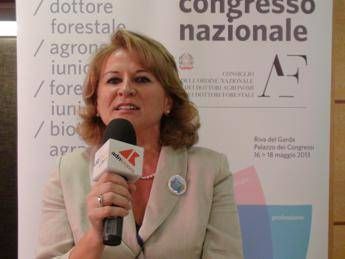 Agronomi: vigneti non evidenziano dissesti idraulico-agrari Agronomi: vigneti non evidenziano dissesti idraulico-agrari