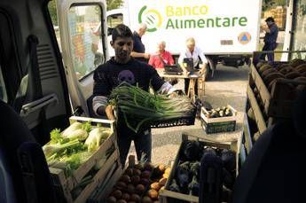 Banco alimentare Piemonte, aumentano i 'poveri della porta accanto' Banco alimentare Piemonte, aumentano i 'poveri della porta accanto'