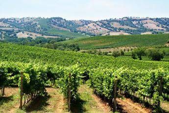 Contratti Confagricoltura Rinnovato Accordo Per Quadri E Impiegati Agricoli