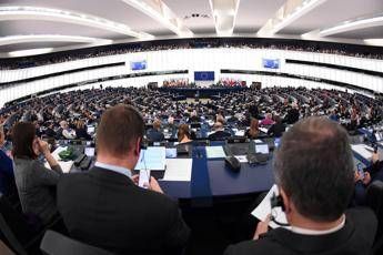 Ex M5S Moi fa causa all'Europarlamento Ex M5S Moi fa causa all'Europarlamento
