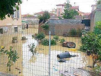 Maltempo, evacuato un altro campeggio a Marina di Bibbona Maltempo, evacuato un altro campeggio a Marina di Bibbona