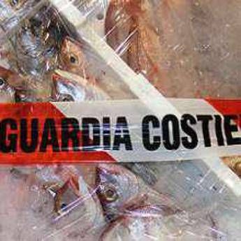 Ciampino, alimenti conservati male in ristorante: sequestrati 60 kg carne e pesce Ciampino, alimenti conservati male in ristorante: sequestrati 60 kg carne e pesce