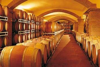 Vino, Cortona in controtendenza: annata 2014 sarà ottima Vino, Cortona in controtendenza: annata 2014 sarà ottima