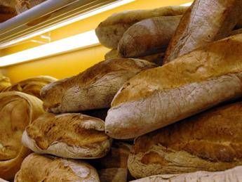 Da Milano un'app solidale contro lo spreco di cibo Da Milano un'app solidale contro lo spreco di cibo