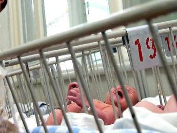 A Monza 2 bebè morti di pertosse in 5 anni, l'appello del medico per vaccinare le mamme A Monza 2 bebè morti di pertosse in 5 anni, l'appello del medico per vaccinare le mamme