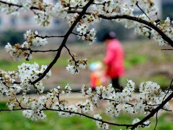 Da oggi è primavera con un giorno di anticipo Da oggi è primavera con un giorno di anticipo