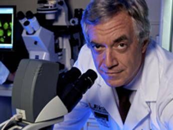 Primo trapianto biotech di isole pancreatiche contro il diabete Primo trapianto biotech di isole pancreatiche contro il diabete