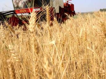 Clima, la soluzione è bio: con agricoltura naturale -36% CO2 solo in Usa Clima, la soluzione è bio: con agricoltura naturale -36% CO2 solo in Usa