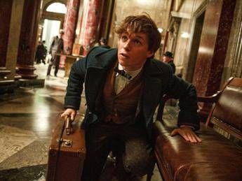 'Animali Fantastici e dove trovarli', ecco il trailer dello spinoff Harry Potter /Video 'Animali Fantastici e dove trovarli', ecco il trailer dello spinoff Harry Potter /Video