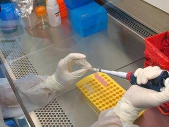 Francia, test su nuovo farmaco finito in tragedia: anche dei cani erano morti Francia, test su nuovo farmaco finito in tragedia: anche dei cani erano morti