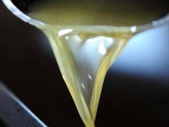 Olio di palma, l'esperto: Non esistono studi che confermano nesso con tumori Olio di palma, l'esperto: Non esistono studi che confermano nesso con tumori