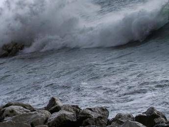 Sos litorali, il cemento 'mangia' la costa al ritmo di 8 km l'anno /Video Sos litorali, il cemento 'mangia' la costa al ritmo di 8 km l'anno /Video