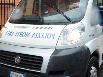 'Killfie', numeri da brivido 'Killfie', numeri da brivido