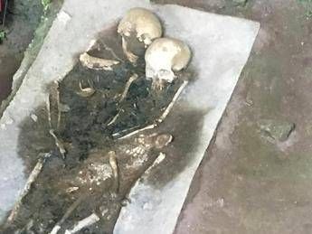 Grazie a ritrovamento in Calabria sarà ricostruito cervello del Paleolitico Grazie a ritrovamento in Calabria sarà ricostruito cervello del Paleolitico