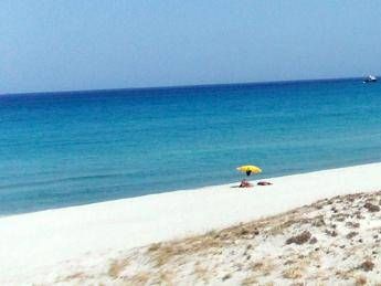 Dalle spiagge libere alla legalità, 5 proposte per una legge sulle concessioni Dalle spiagge libere alla legalità, 5 proposte per una legge sulle concessioni