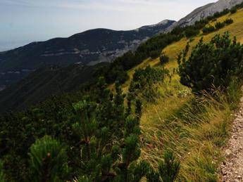 Sviluppo sostenibile, premiate le best practice al servizio di foreste e montagne Sviluppo sostenibile, premiate le best practice al servizio di foreste e montagne