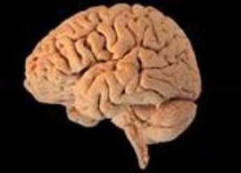 Scienziato paralizzato mette a punto strumento low cost per scrivere con il pensiero Scienziato paralizzato mette a punto strumento low cost per scrivere con il pensiero