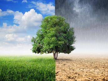 Global Warming, più sforzi per ridurre i gas serra Global Warming, più sforzi per ridurre i gas serra
