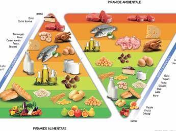 Viaggio nella sostenibilità del cibo, una mostra a Bruxelles Viaggio nella sostenibilità del cibo, una mostra a Bruxelles