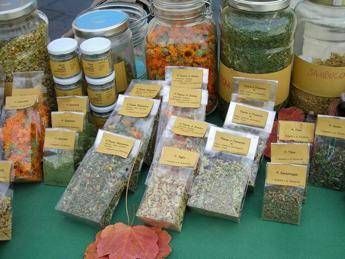 Saperi e sapori delle erbe spontanee, dal 15 al 17 a Bracciano torna 'Erbacce e Dintorni' Saperi e sapori delle erbe spontanee, dal 15 al 17 a Bracciano torna 'Erbacce e Dintorni'