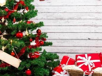 A Natale Vince Albero Sintetico Ma Quello Vero Sempre Piu Piccolo
