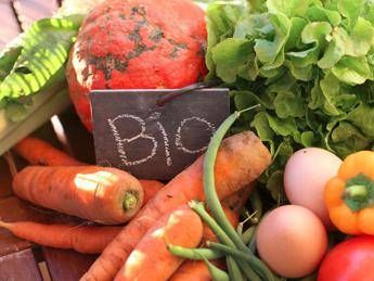 Cibo bio, cresce il mercato europeo: 37 mld nel 2017 Cibo bio, cresce il mercato europeo: 37 mld nel 2017