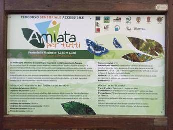 Amiata per tutti, percorso accessibile alla scoperta del bosco Amiata per tutti, percorso accessibile alla scoperta del bosco