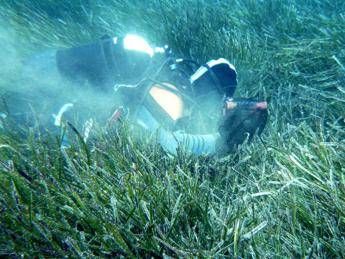 Spiagge a rischio per aumento emissioni Spiagge a rischio per aumento emissioni