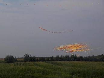 Pericolo birdstrike in volo? La soluzione è di una startup Pericolo birdstrike in volo? La soluzione è di una startup