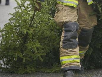 Via gli addobbi, vademecum per alberi di Natale veri Via gli addobbi, vademecum per alberi di Natale veri