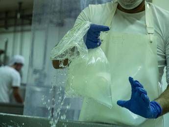 La 'mozzarella della legalità' in packaging Mater-Bi La 'mozzarella della legalità' in packaging Mater-Bi